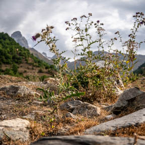 17-Berge, ushba.jpg